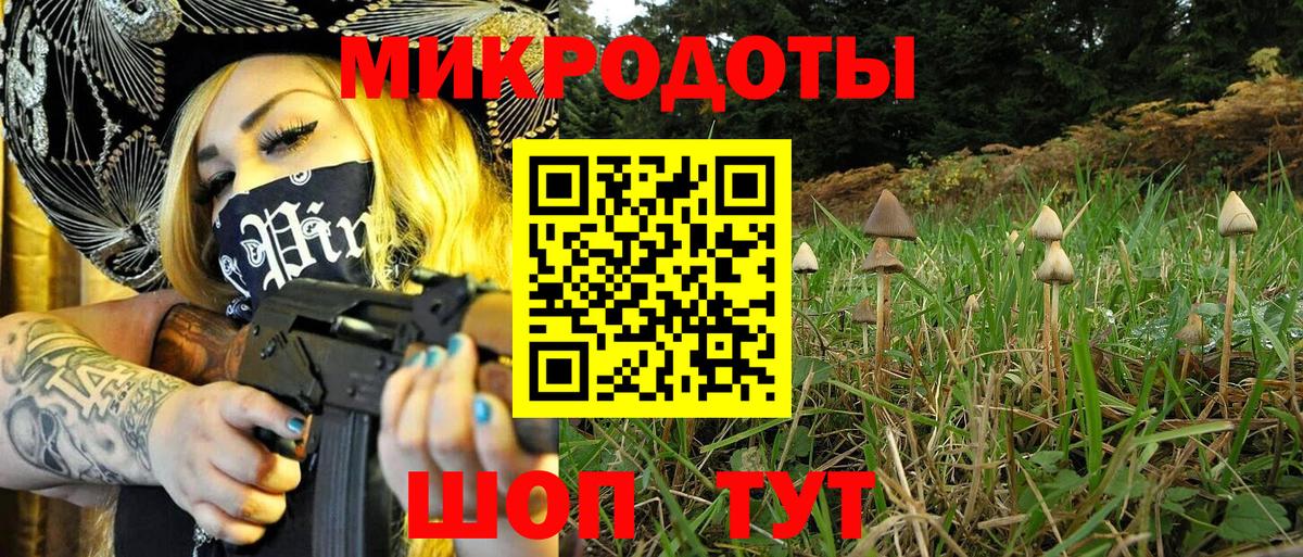 Псилоцибиновые грибы ЛСД Дагестанские Огни